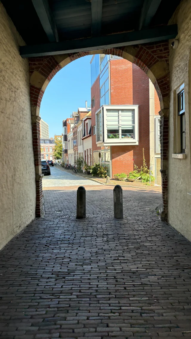 Sunny septemberdays in Groningen are the best 🤩😎