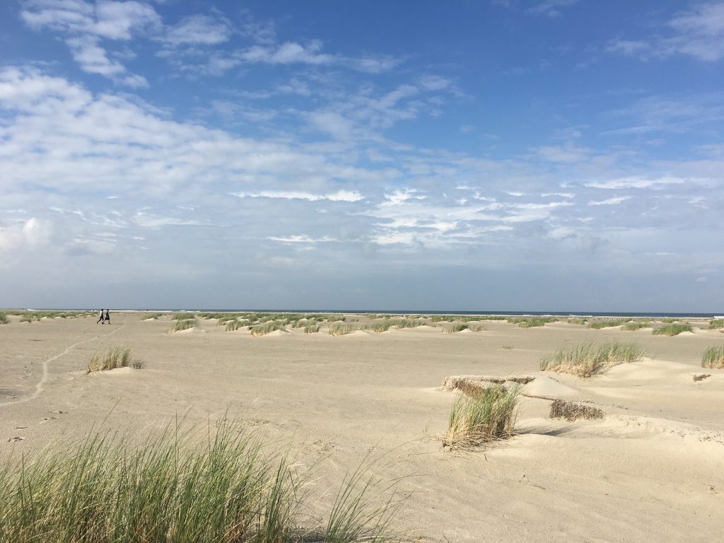 Beach Terschelling