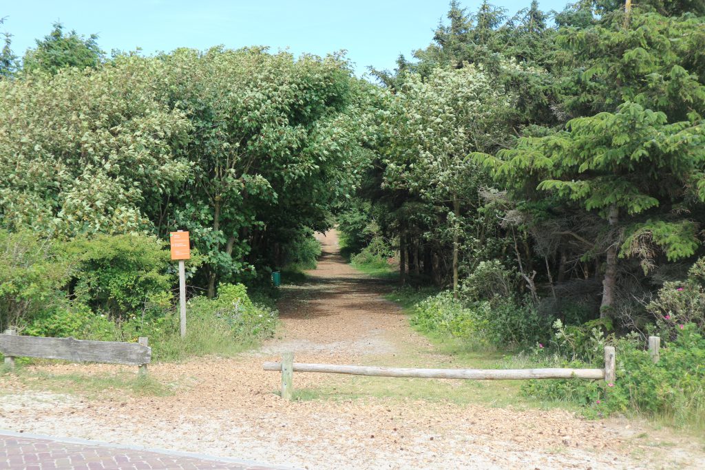 hiking path on Ameland